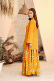 2 Piece Khaddar Suit (CR3332)