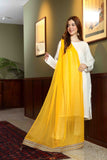 1 Piece Chiffon Dupatta (FZ0791)