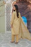 2 Piece Raw Silk Set (FR0974)